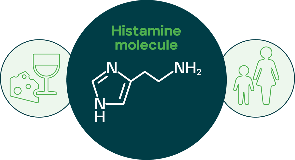 Histamine explained graphic