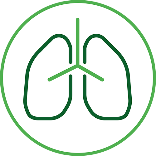 Asthma symptom icon image