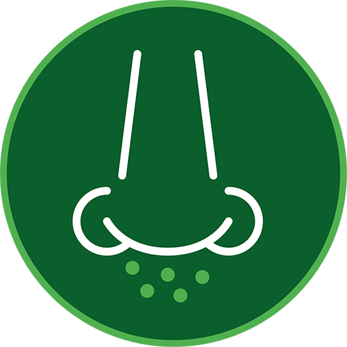 Sneezing, runny nose or congestion symptom icon image