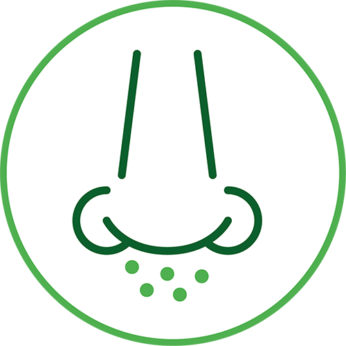 Sneezing, runny nose or congestion symptom icon image