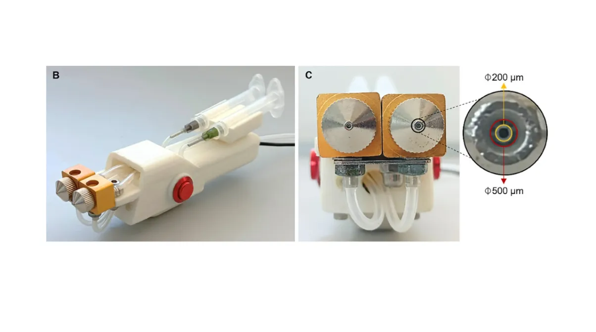 Biopen4Reg manual bioprinting device for skin regeneration with bioinks containing collagen, elastin, and hyaluronic acid.