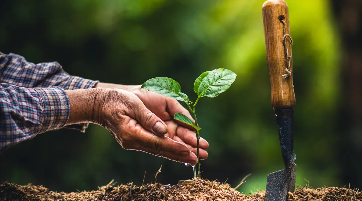 Soil microbiome agriculture