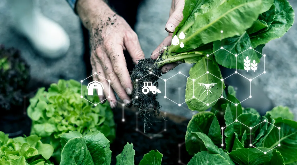 Agricultural biotechnology