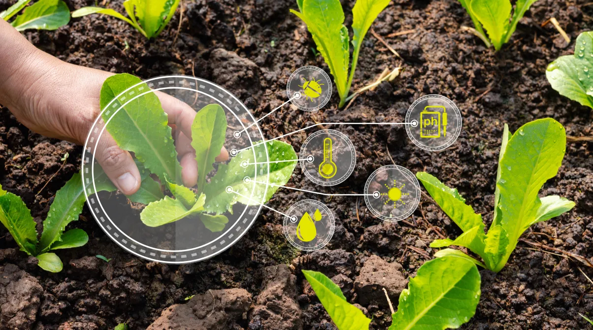 Innovación en salud vegetal: así es el equipo de I+D de Bioiberica