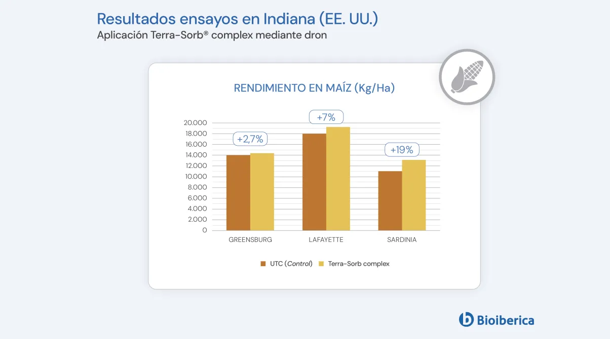 Gráfica de rendimiento en maíz: comparativa testigo vs. Terra-Sorb® complex aplicado con dron en tres localidades de Indiana (EE. UU.)