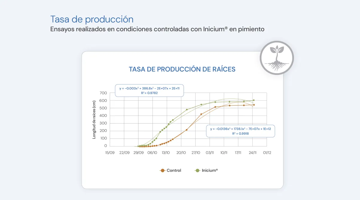Gráfica tasa de producción raíces