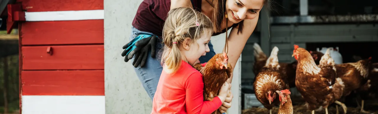 Proteína hidrolizada 2