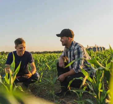 Unidad de negocio salud vegetal Bioiberica