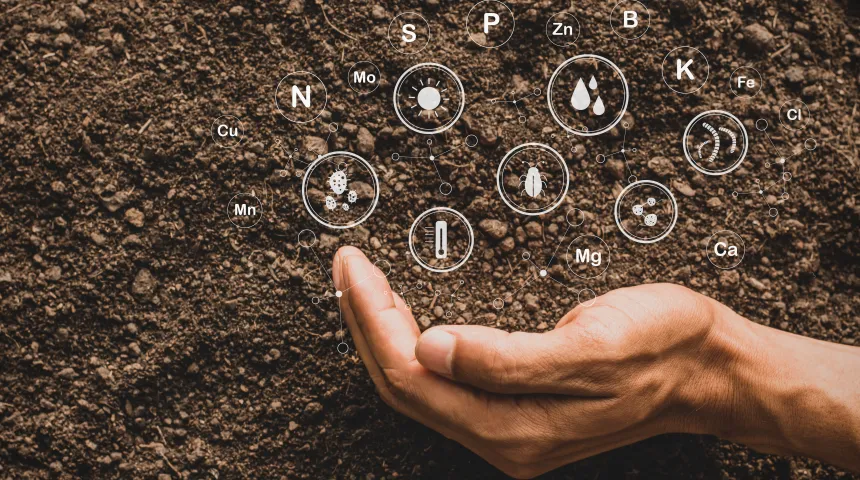 Nutricion biodisponible 3