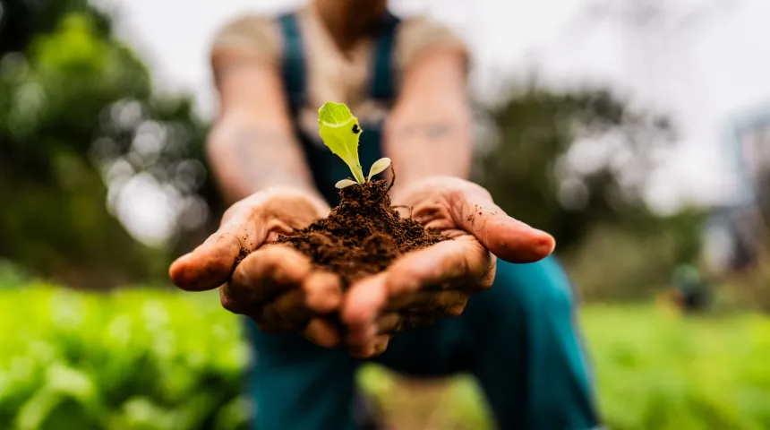 Salud vegetal Bioiberica