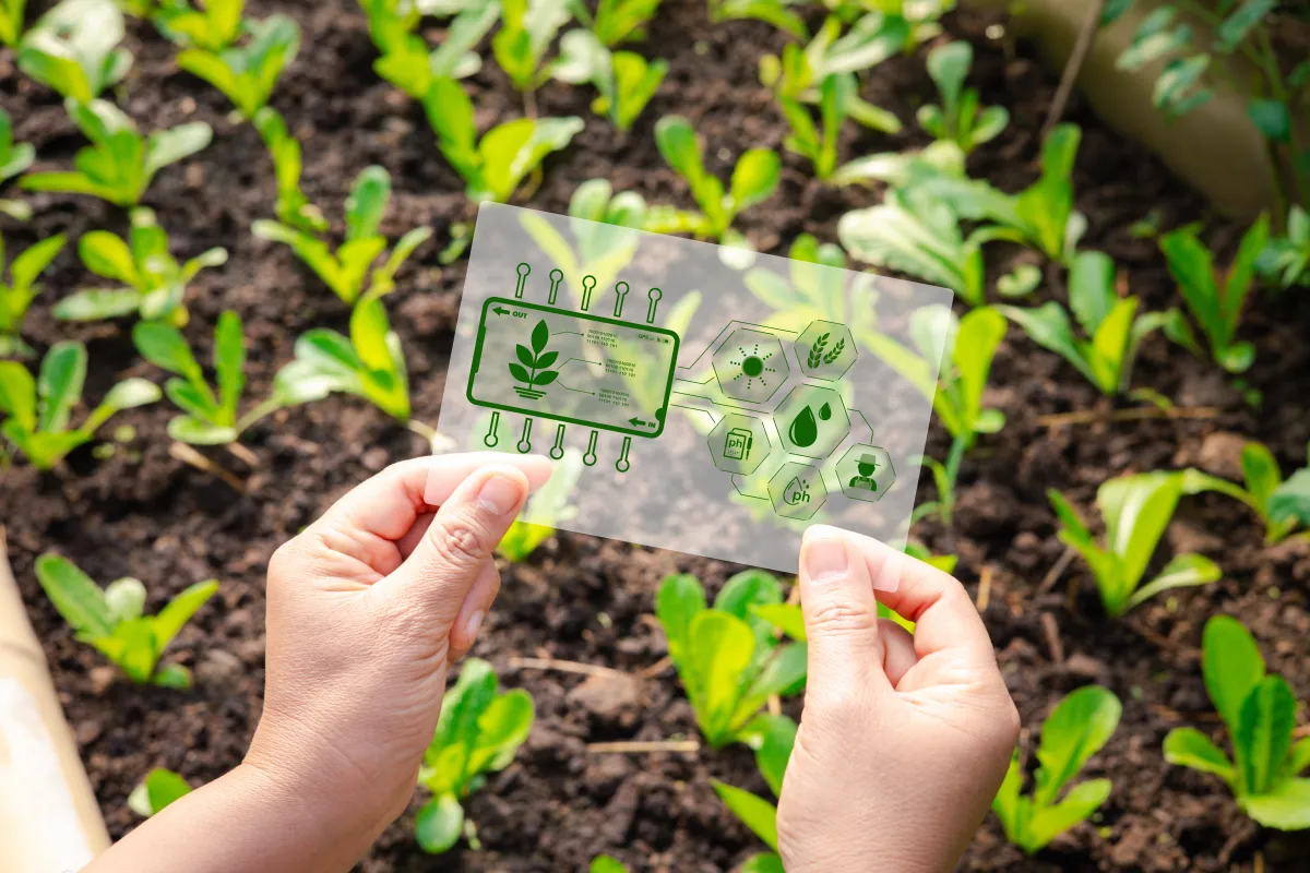 Regenerative agriculture