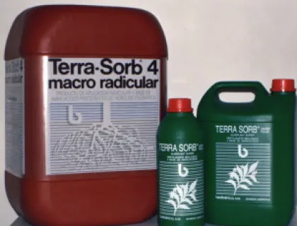 Creación unidad salud vegetal 1986