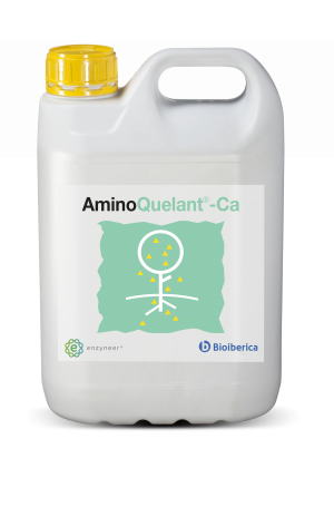Amino cão