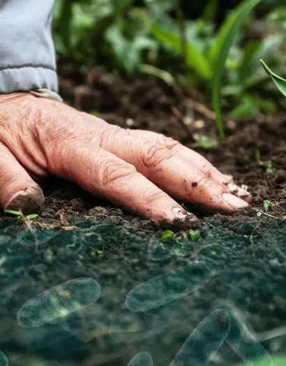 bioiberica lanza nuevo bioestimulante