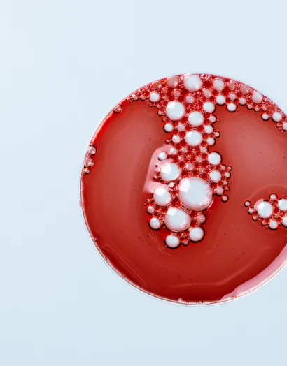 Economía circular Bioiberica heparina ok