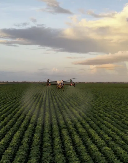 Dron aplicado productos agrícolas